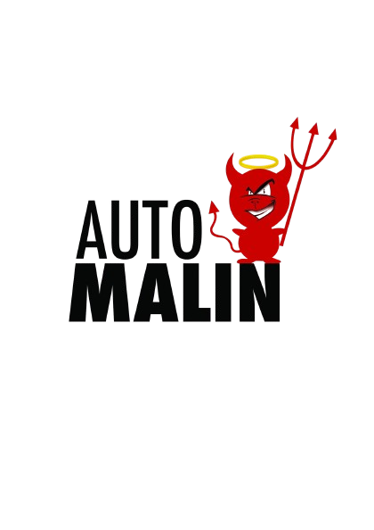 logo Auto Malin